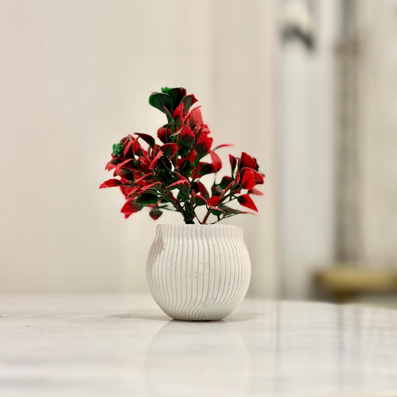 Miniature Tree planter for Home and Office Decor (Rose Red Color)